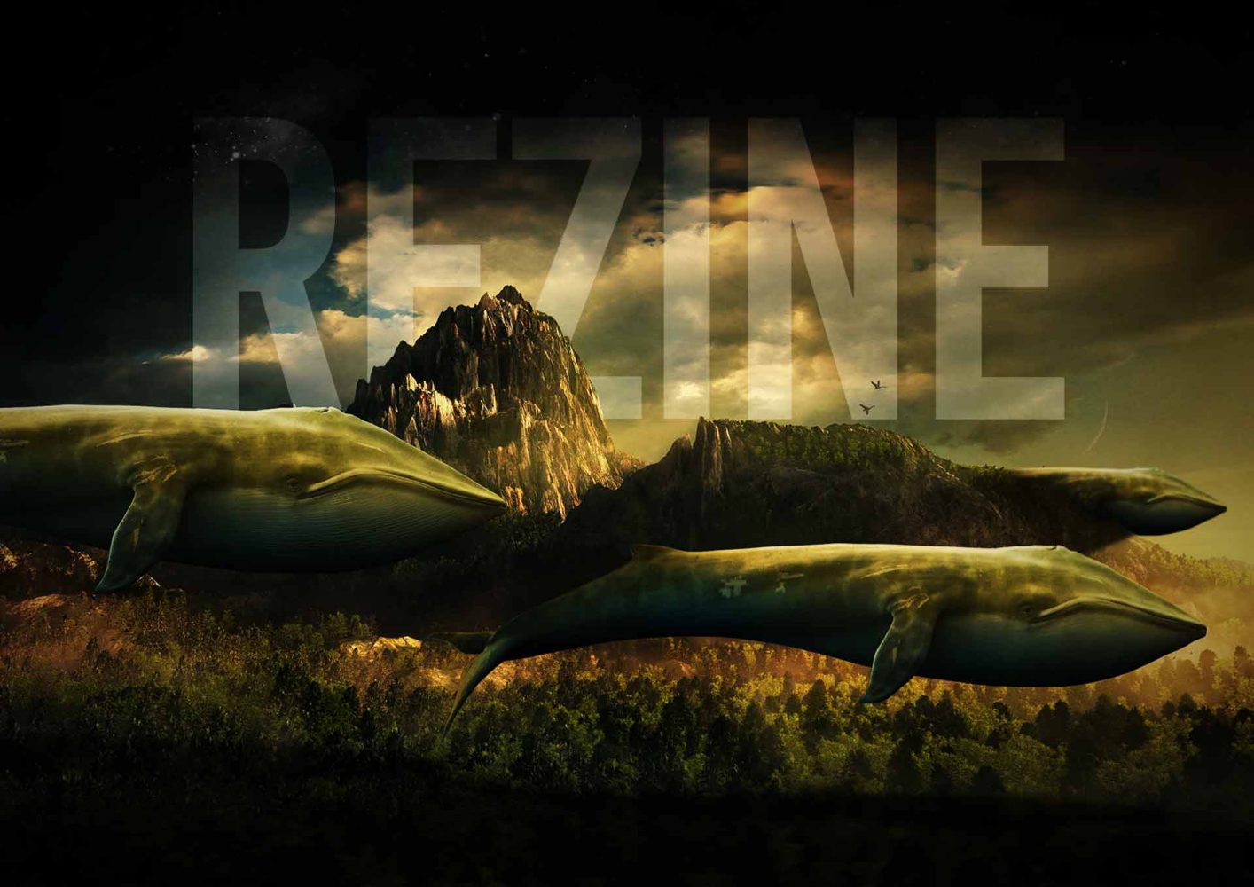 REZINE 2ND EDITION COVER NEW